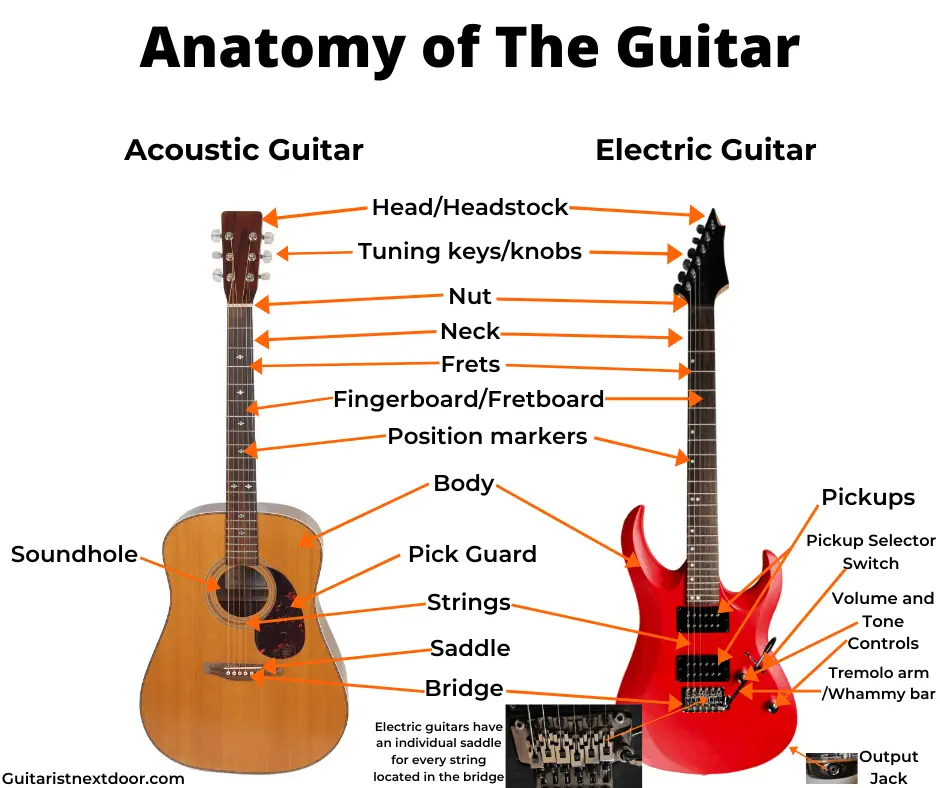 Different Guitar Terms Explained With Photos and Videos