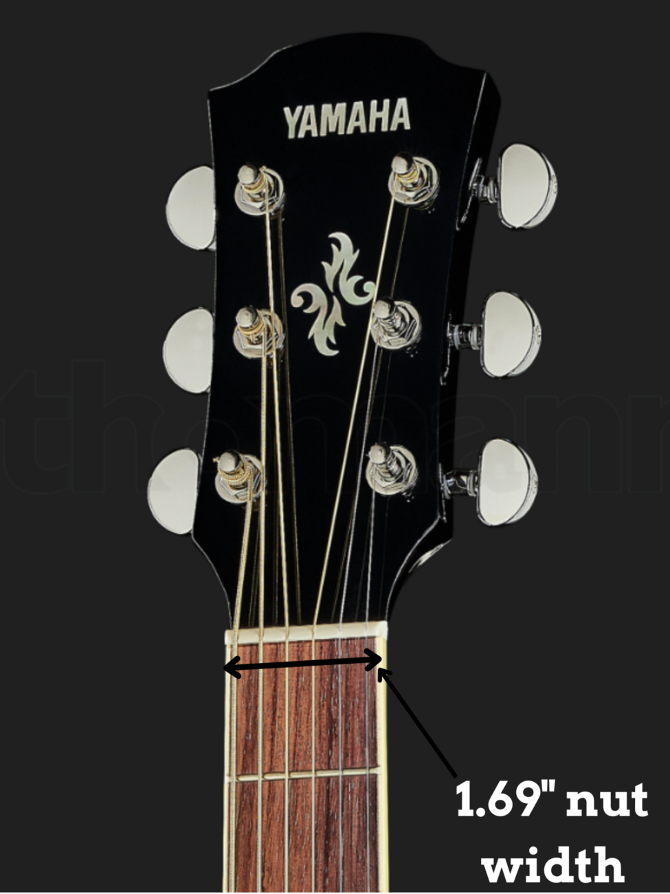 5 Best Acoustic Guitars With Thin Neck Plus 28 RunnerUps