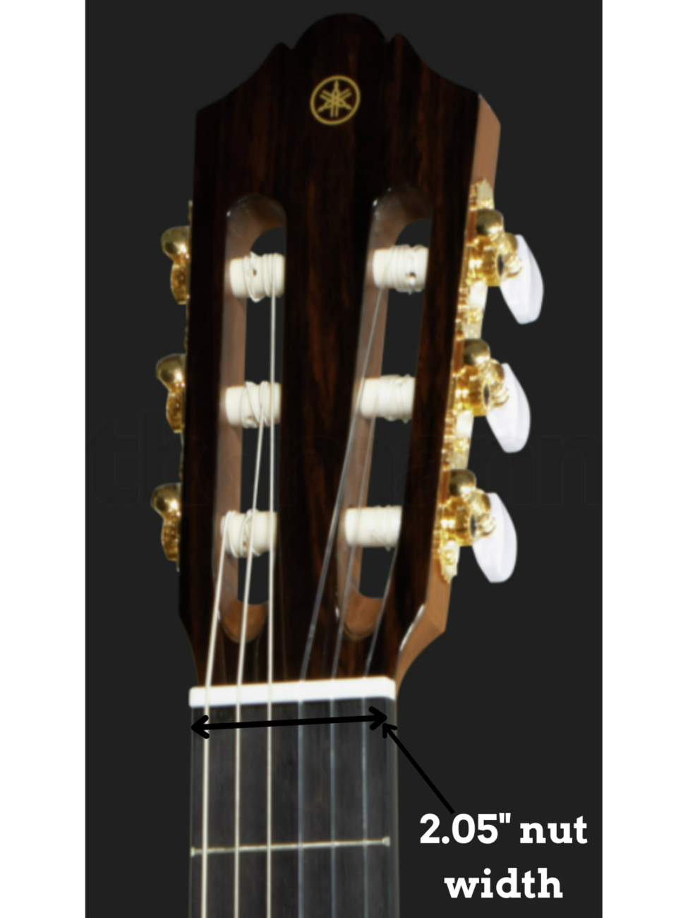 5 Best Acoustic Guitars for Intermediate Players