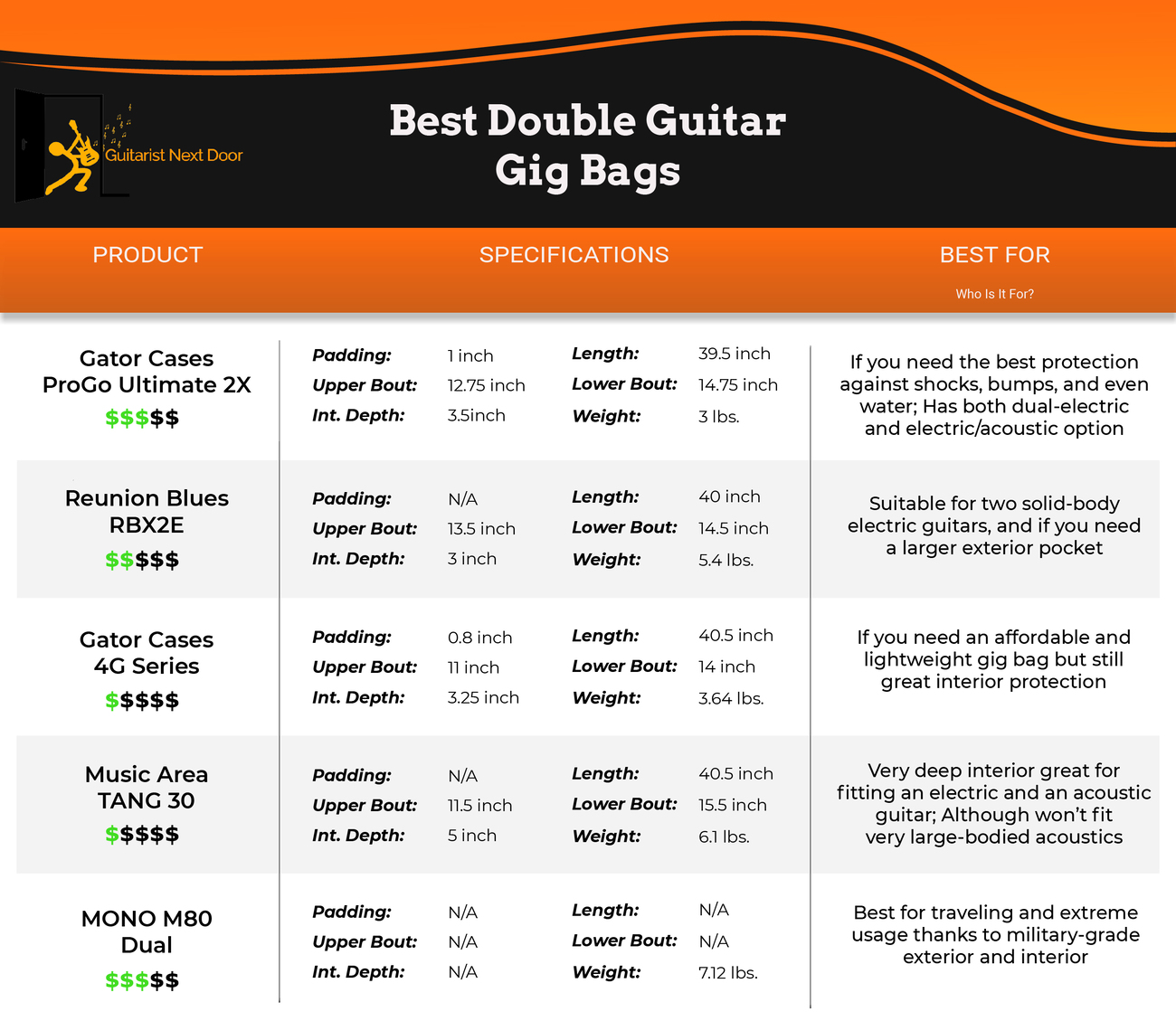 Double electric guitar online gig bag