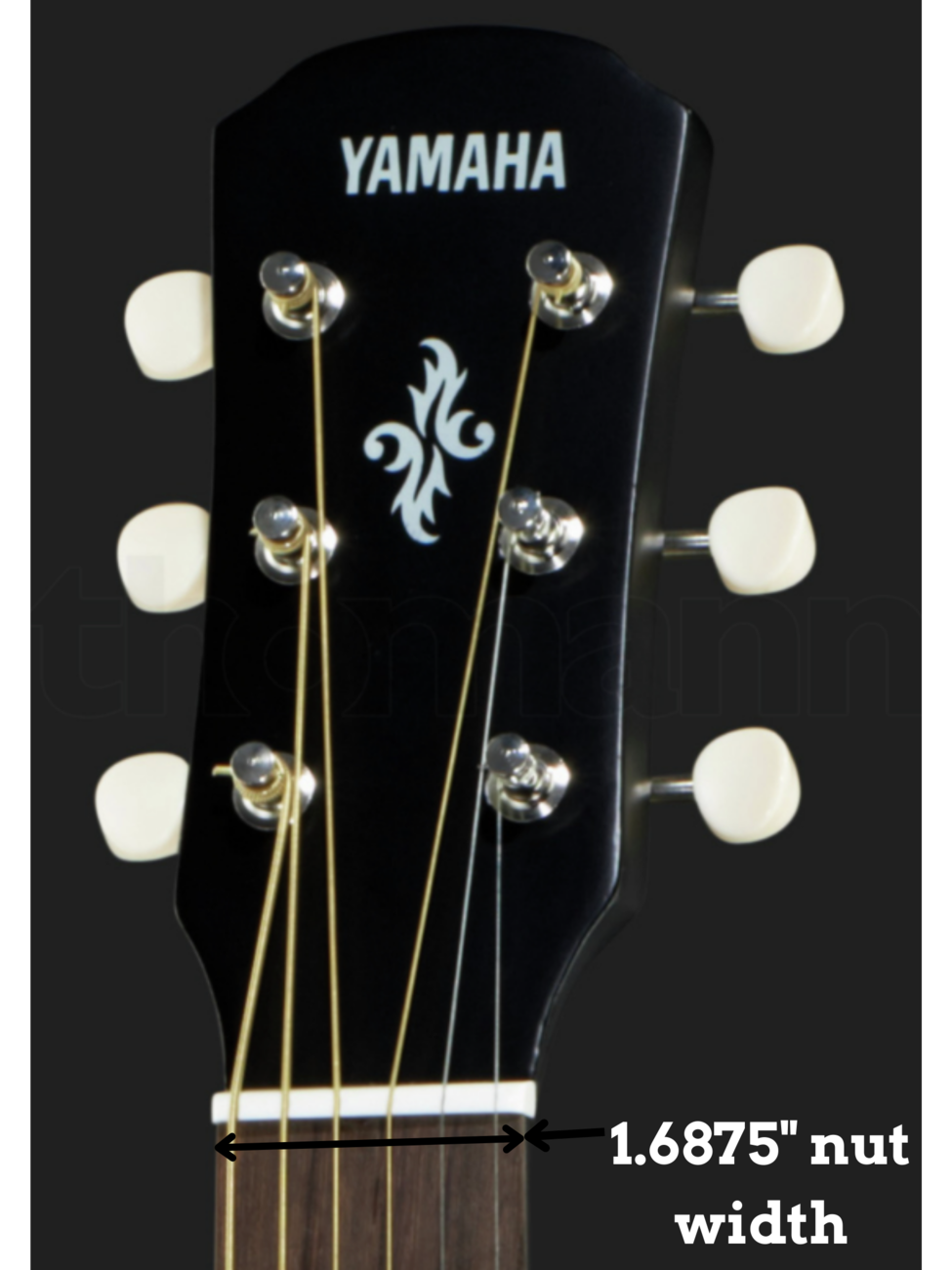 5 Best Yamaha Acoustic Guitar for Beginners Our Test Results