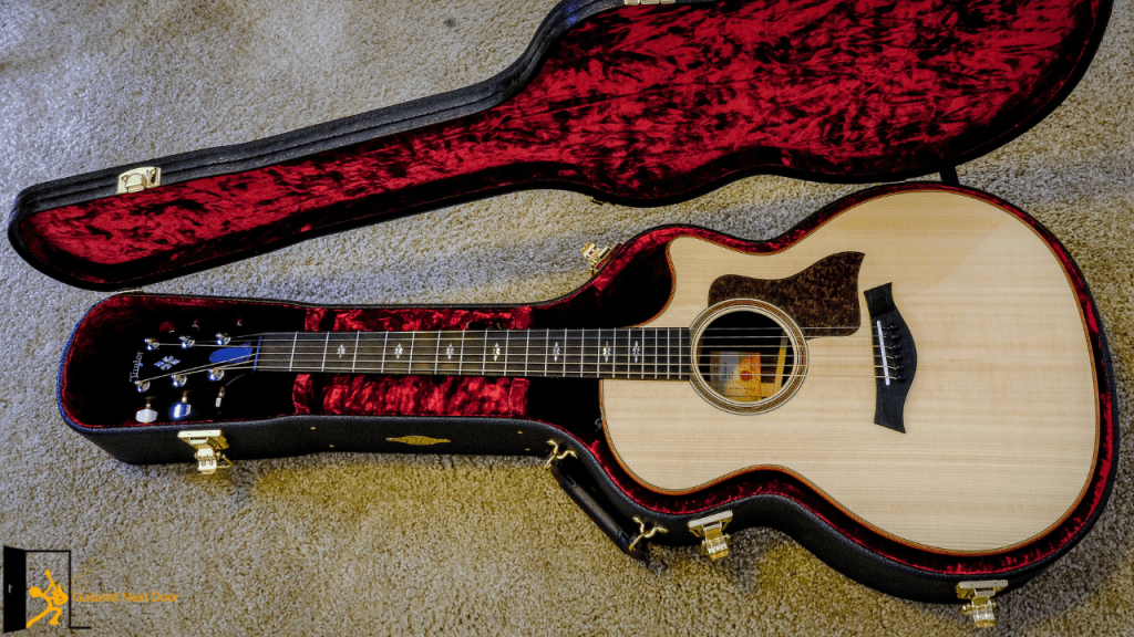 displays Taylor 814ce in a guitar case