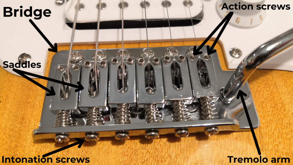 Image reveals different Parts of The Guitar Bridge