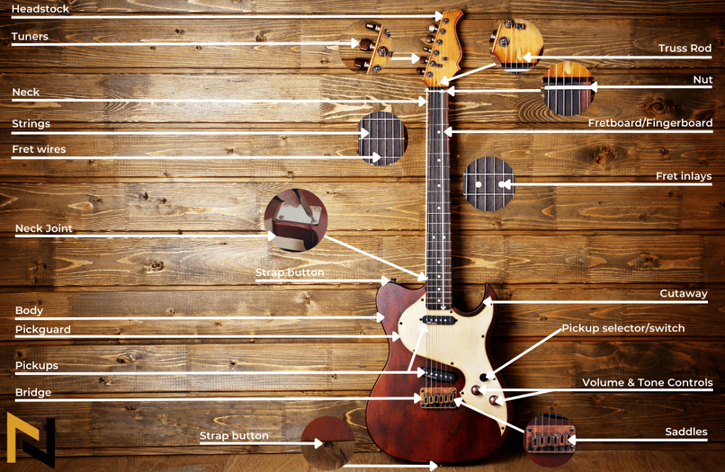 displays Anatomy of An Electric Guitar Diagram