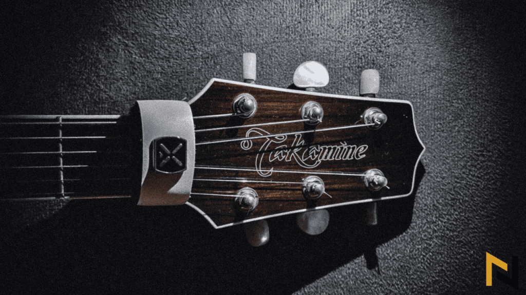 Are Takamine Guitars Good? Most of The Time...