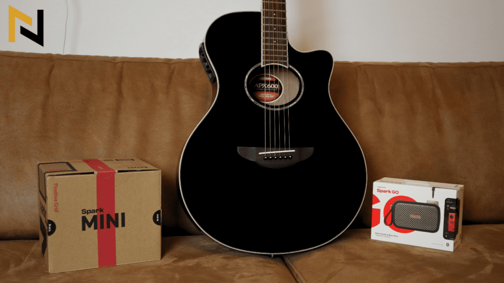 5 Best Small Acoustic Guitar Amps in 2024 PluggedIn Magic